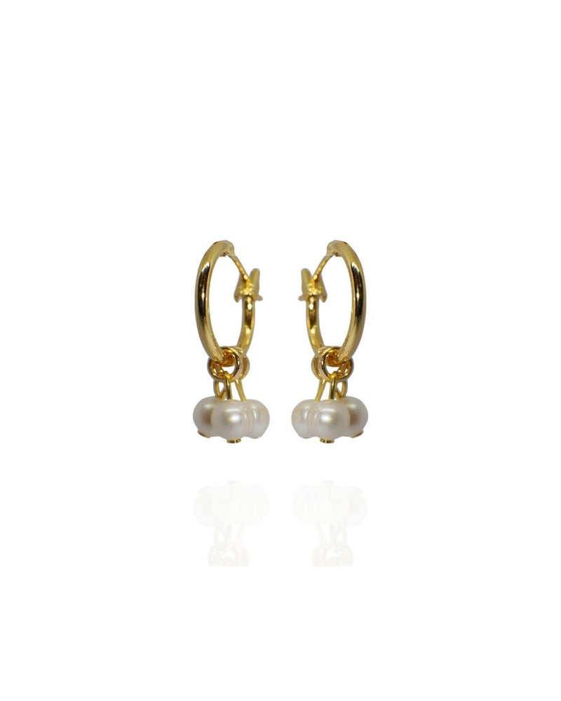 San Vicente Earrings