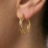 Freya Gold Hoop Earrings