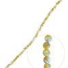 Men’s Trogus Shell Beads Bracelet