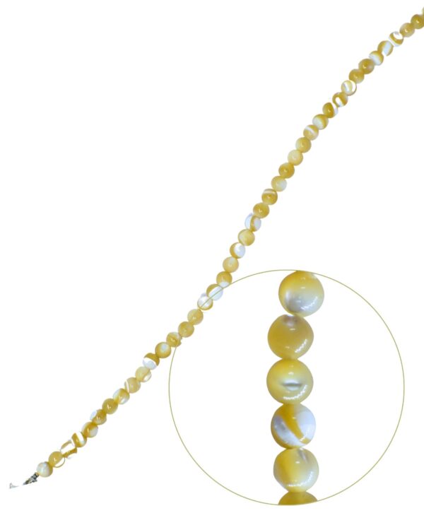 Men’s Trogus Shell Beads Bracelet