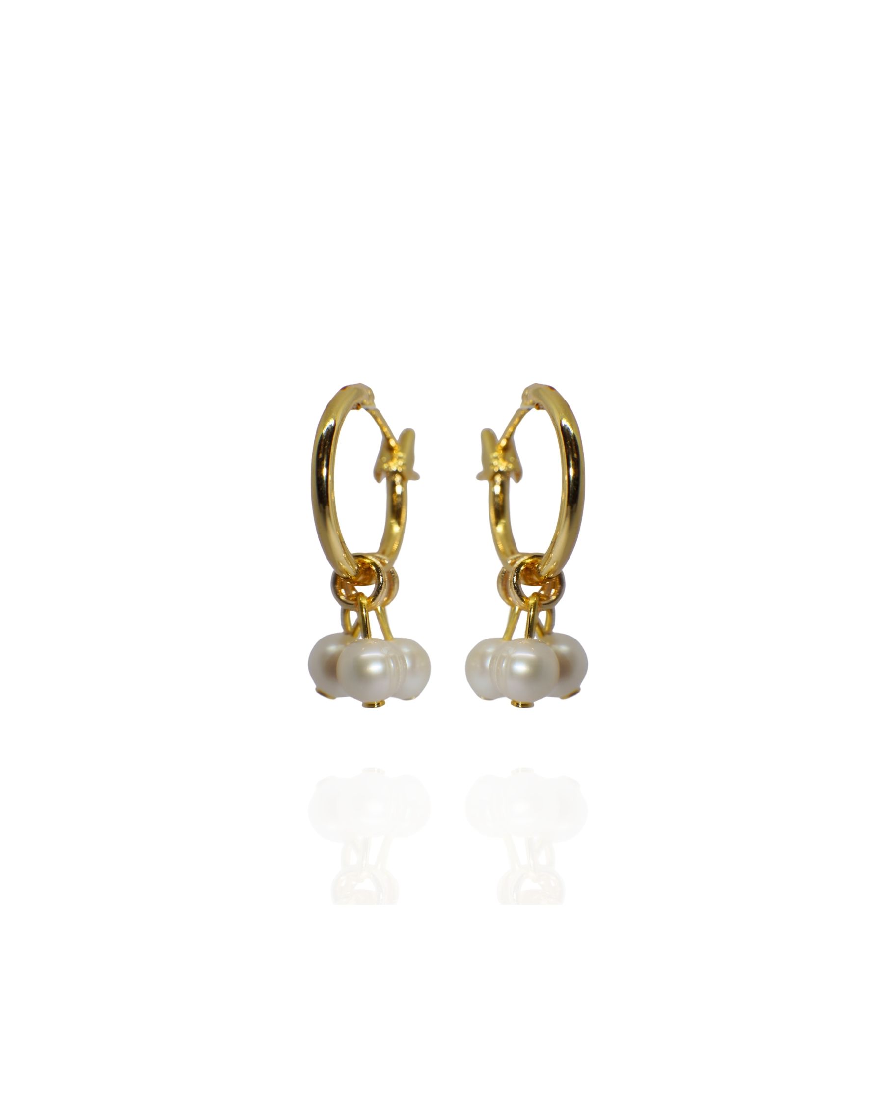 San Vicente Earrings