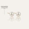 145 Pearl Studs Earrings