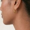 Sadie Gold Earrings