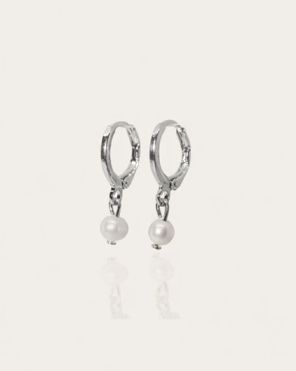 Silver Moon Earrings