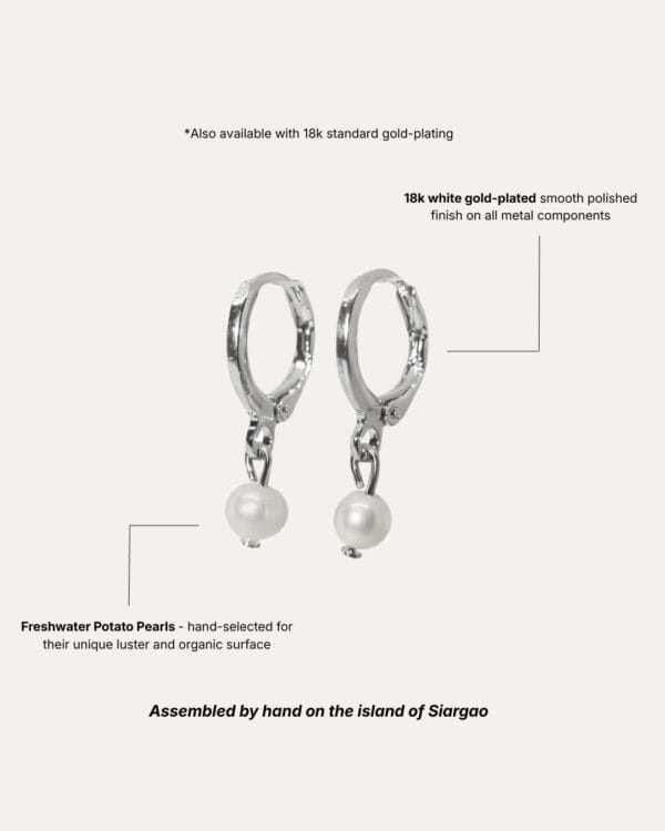 Silver Moon Earrings